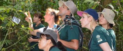 Volunteers on a bird watching expedition as part of their Conservation Project in Peru Projects Abroad volunteers bird watching on their Spring Break Conservation Project in Peru